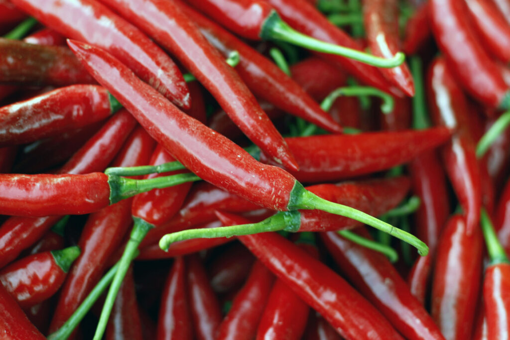 Dia Internacional da Comida Picante